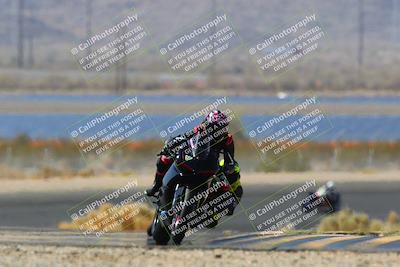 media/Apr-10-2022-SoCal Trackdays (Sun) [[f104b12566]]/Turn 14 (10am)/